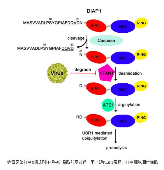 太阳成集团官网