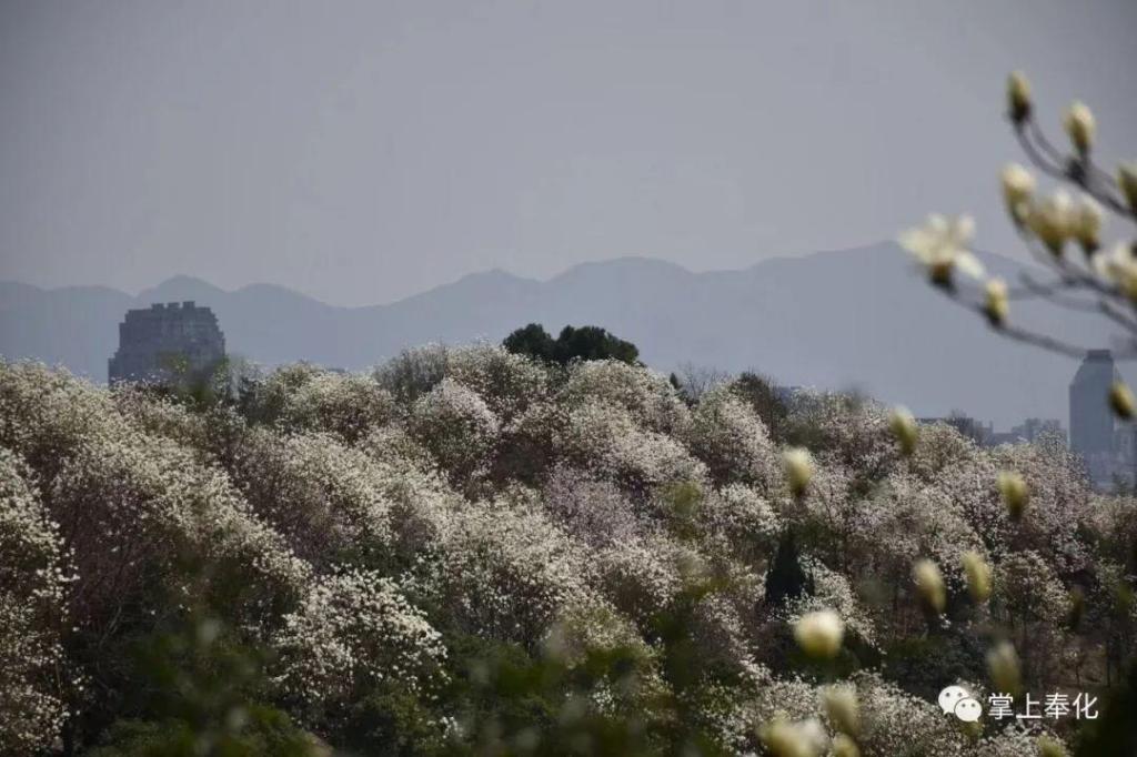 太阳成集团官网