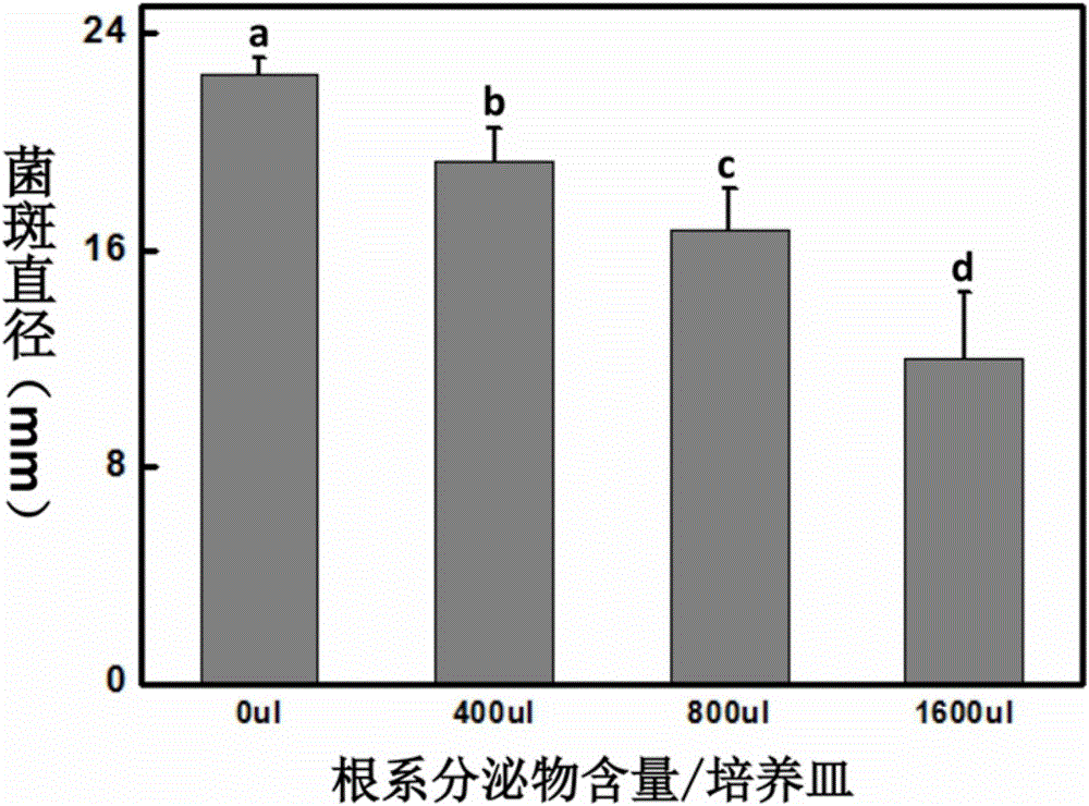 太阳成集团官网