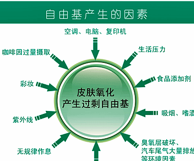 太阳成集团